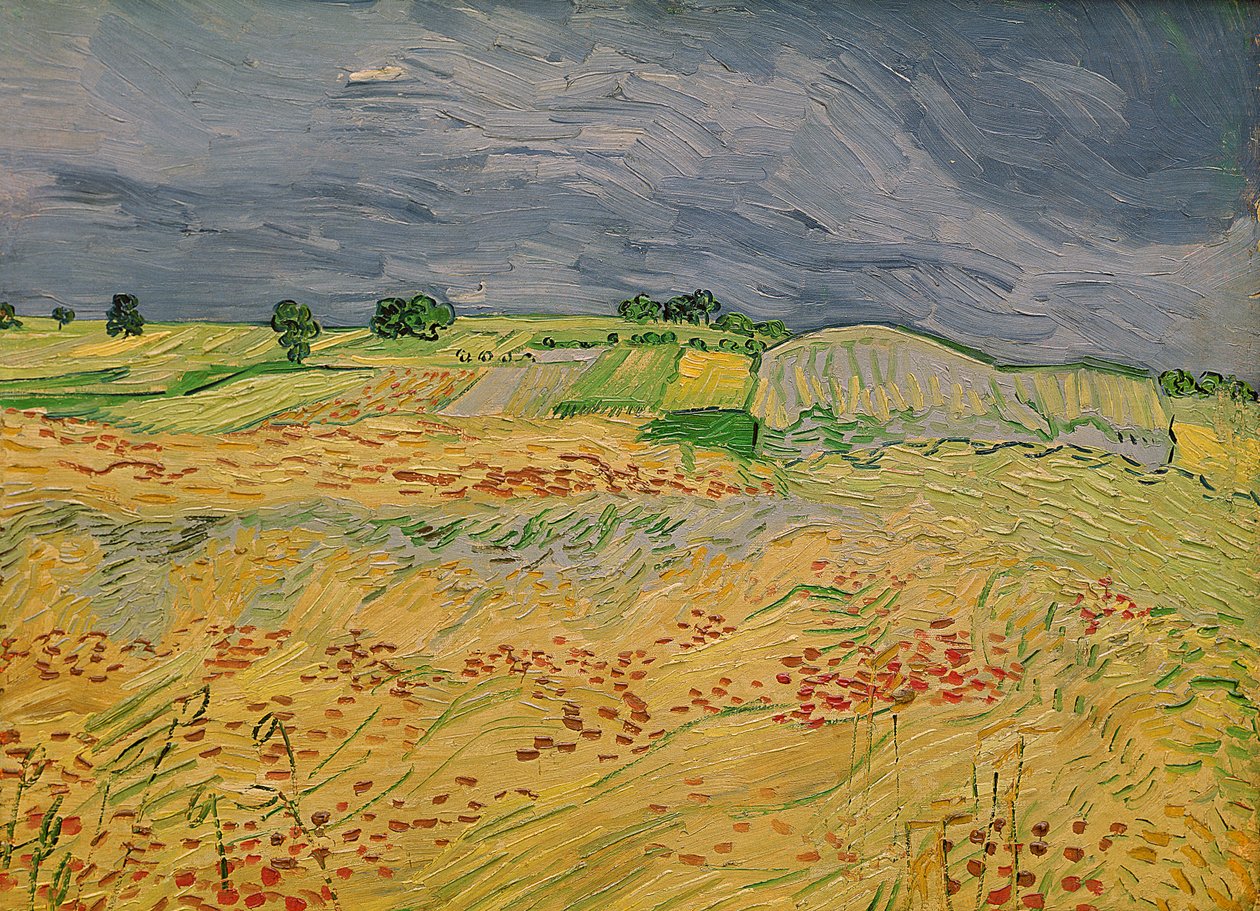 Plain at Auvers 1890 by Vincent van Gogh Fine art print